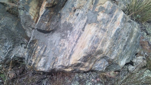 Гигантские зелёные валуны для ландшафтного дизайна весом более 5 тонн купить в Москве