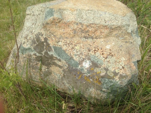 Гигантские зелёные валуны для ландшафтного дизайна весом более 5 тонн купить в Москве